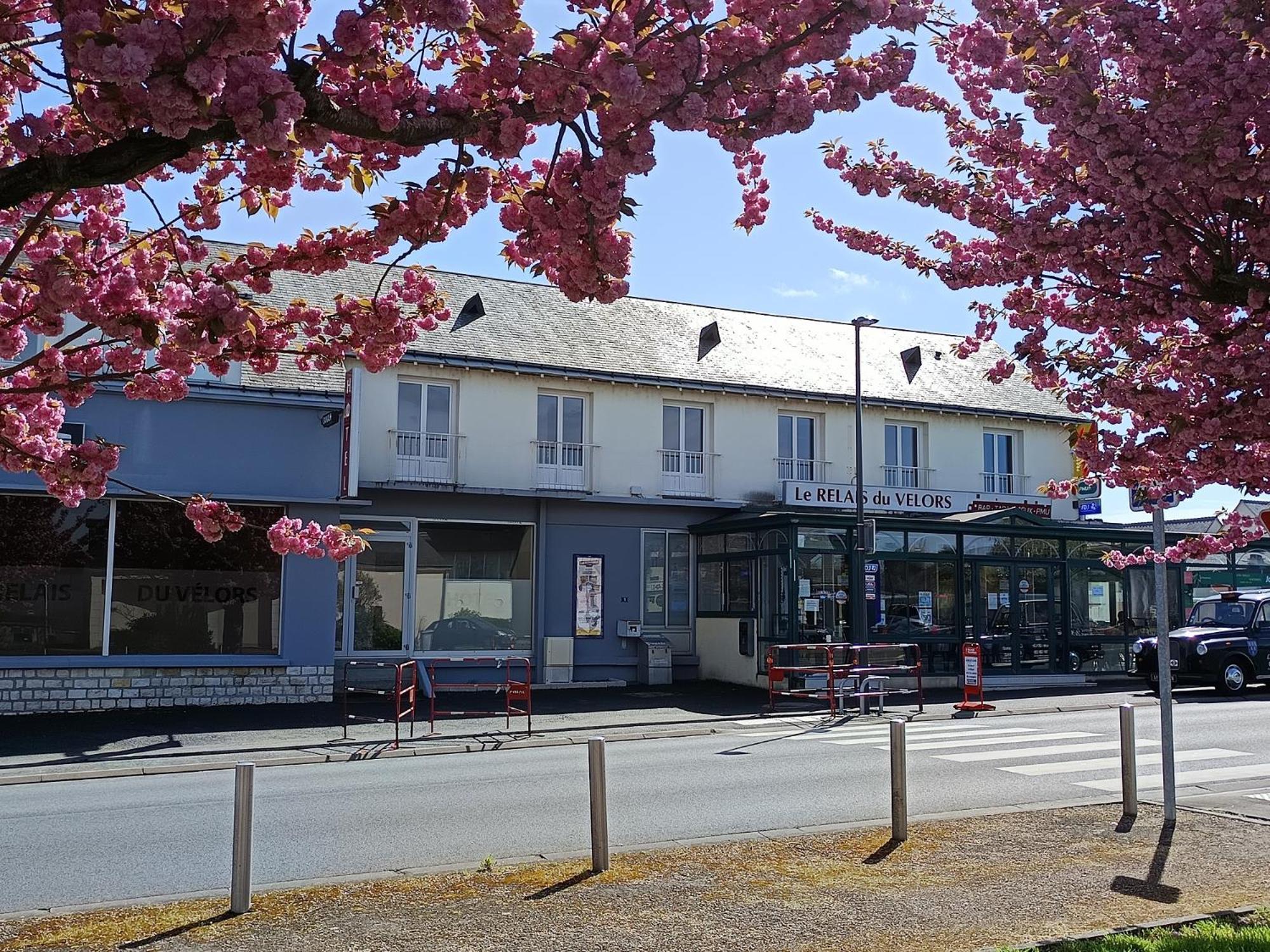 Le Relais Du Velors Hotel Beaumont-en-Véron Exterior foto